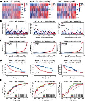 Identifying a novel cuproptosis-related necroptosis gene subtype-related signature for predicting the prognosis, tumor microenvironment, and immunotherapy of hepatocellular carcinoma